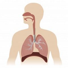 Core Principles&nbsp;For Respiratory Muscle Training (RMT)