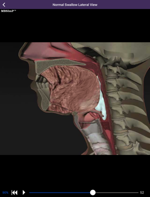 Animation of a normal swallow.