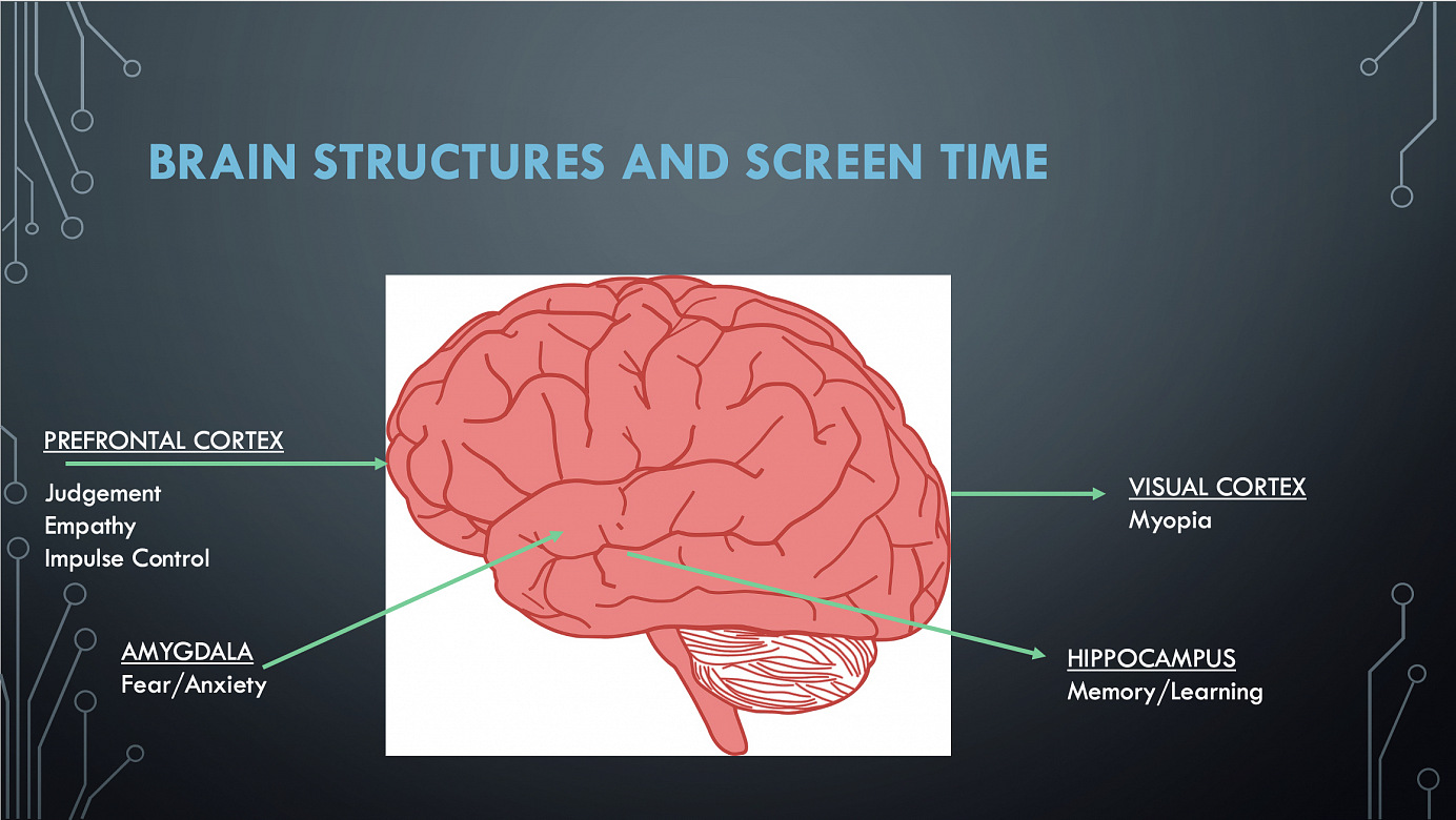 Head and Neck Cancer - Speech Pathology Training