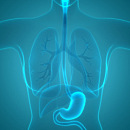 Esophageal Dysphagia