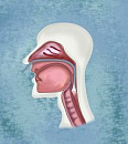 Esophageal Disorders