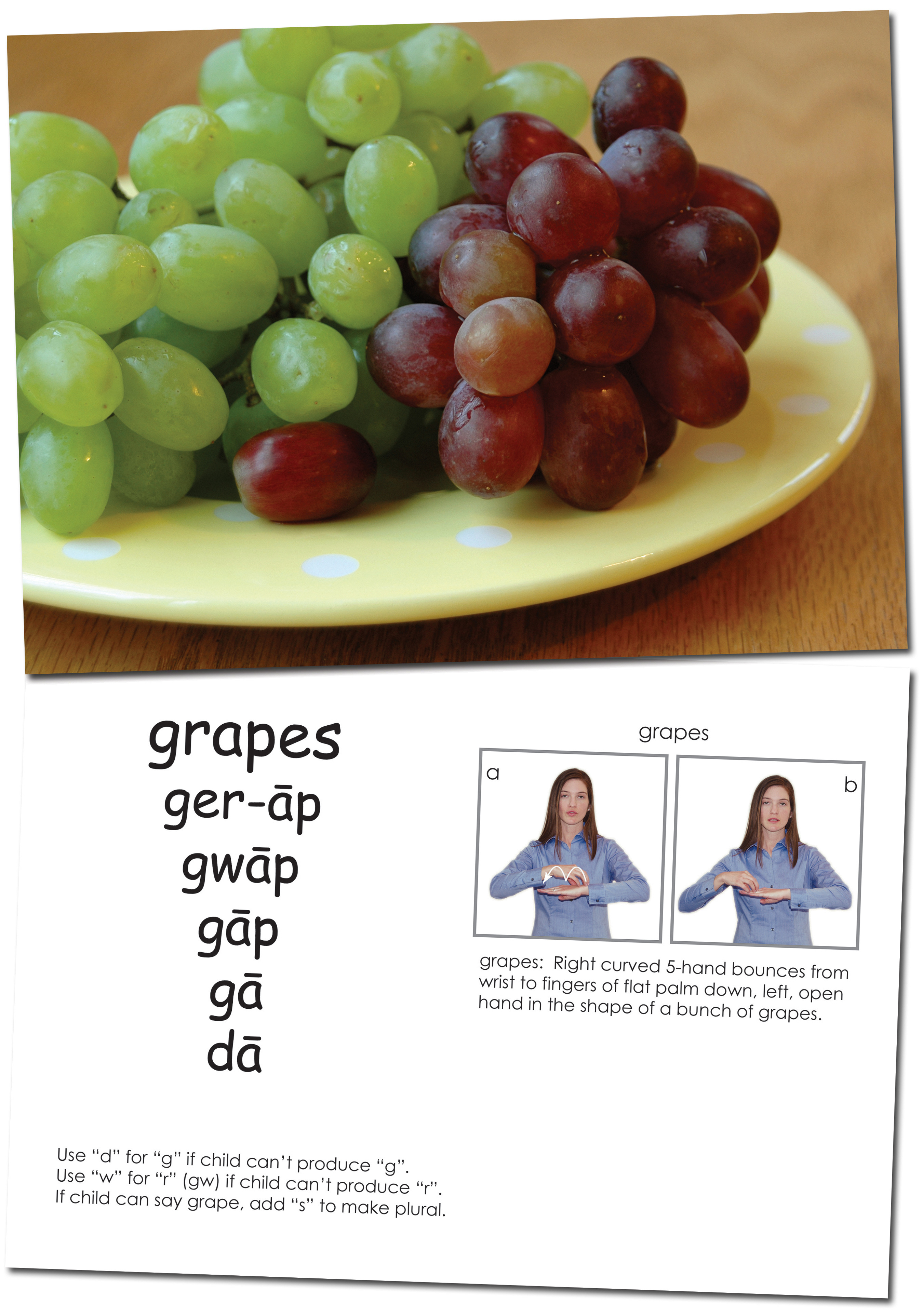 Sign to Talk Nouns - Grapes