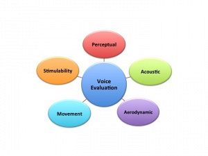 Assessment Of Voice Disorders In Children And Adults: Using Inexpensive Low And High Tech Resources To Complete A Comprehensive Voice Evaluation