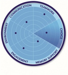 Navigating Neurocognitive Disorders In Dementia: What The Speech Pathologist Needs To Know About Evidence-Based Practice And Patient-Centered Care 