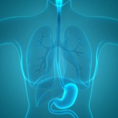 Esophageal Dysphagia: Evaluation And Treatment Options