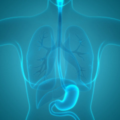 Esophageal Dysphagia: Evaluation And Treatment Options