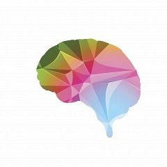 Updates In Neuroscience: How Therapy Changes The Brain