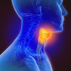 Endoscopic Assessment: Voice-Vibratory Assessment With Laryngeal Imaging (VALI-R)