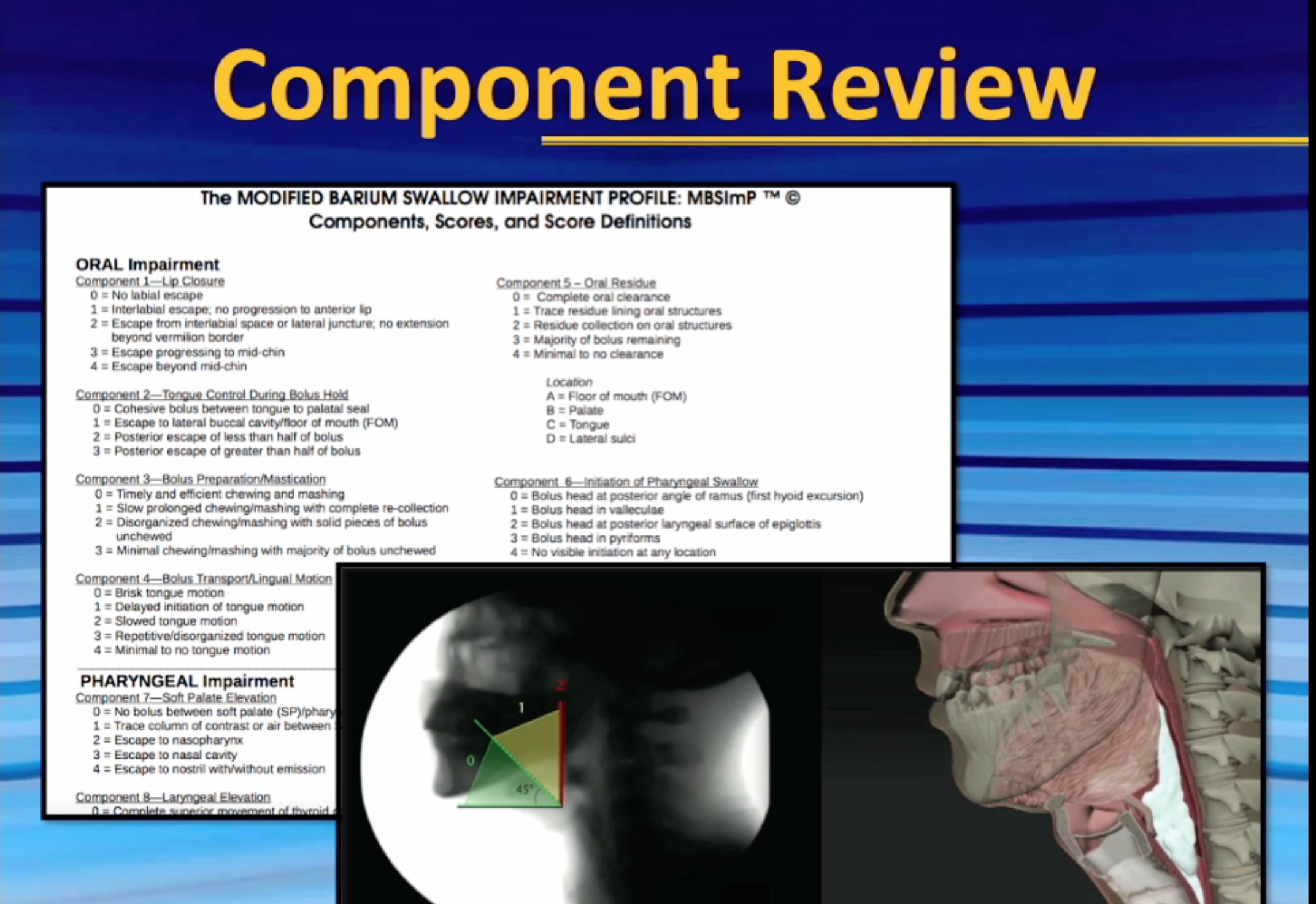 MBSImP Renewal - Component Review