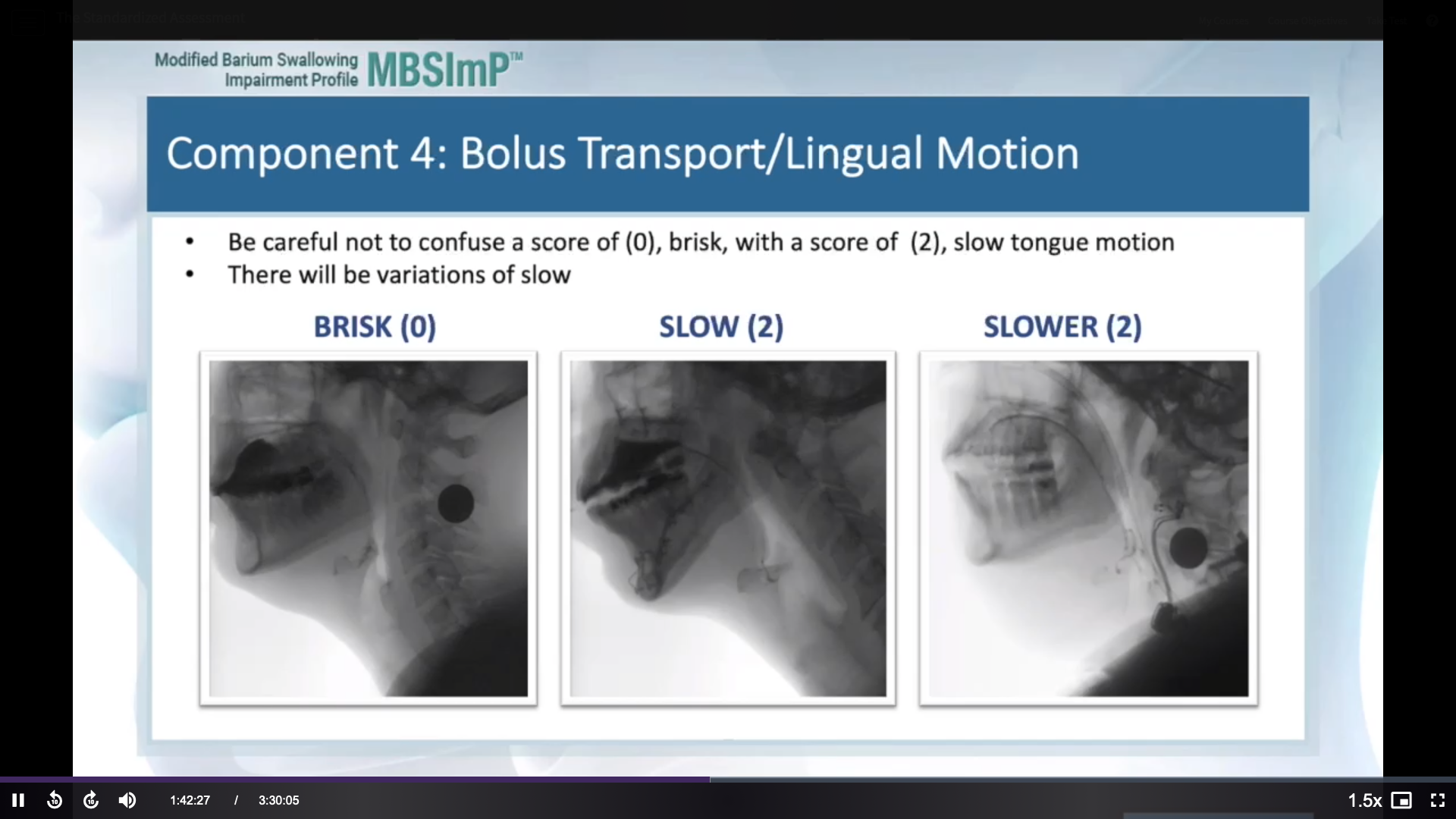 MBSImP Renewal - Component 4 - Bolus Transport