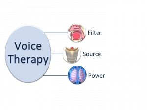 Treatment Of Voice Disorders: The Global Voice Therapy Model (GVTM) For Children And Adults