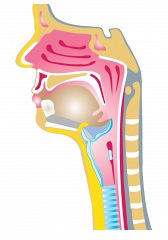 Perspectives On Dysphagia Service Delivery: All About Treatment