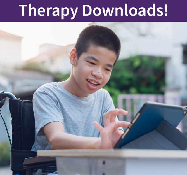 Competencies In Using Alternative And Augmentative Communication (AAC) For Language Development