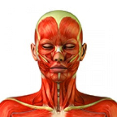 Oral Mechanism / Cranial Nerve Examination: What Every SLP Needs To Know